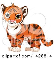 Poster, Art Print Of Cute Tiger Cub Standing