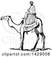 Poster, Art Print Of Vintage Black And White Man Riding A Camel