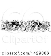 Clipart Of A Vintage Black And White Floral Border Royalty Free Vector Illustration