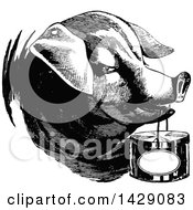 Poster, Art Print Of Vintage Black And White Pig Carrying A Basket