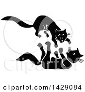 Poster, Art Print Of Vintage Black And White Cats Fighting