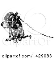 Clipart Of A Vintage Black And White Sketched Dog Attached To A Chain Royalty Free Vector Illustration