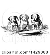 Poster, Art Print Of Vintage Black And White Sketched Group Of Puppies Around A Bowl