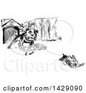 Poster, Art Print Of Vintage Black And White Sketched Dog Chasing Another From A House