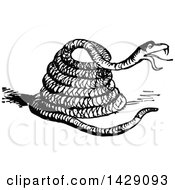 Clipart Of A Vintage Black And White Coiled Snake Royalty Free Vector Illustration