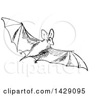 Clipart Of A Vintage Black And White Flying Bat Royalty Free Vector Illustration by Prawny Vintage