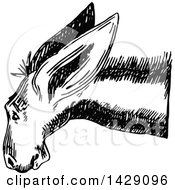 Clipart Of A Vintage Black And White Donkey Royalty Free Vector Illustration by Prawny Vintage