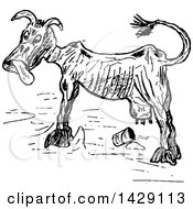 Clipart Of A Vintage Black And White Sketched Skinny Cow Royalty Free Vector Illustration
