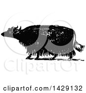 Clipart Of A Vintage Black And White Sketched Yak Royalty Free Vector Illustration