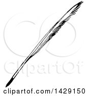 Clipart Of A Vintage Black And White Feather Quill Royalty Free Vector Illustration