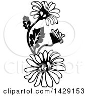 Poster, Art Print Of Vintage Black And White Daisies