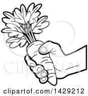 Poster, Art Print Of Black And White Hand Holding A Carrot