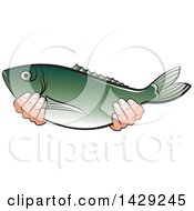 Poster, Art Print Of Hands Holding A Fish