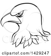 Poster, Art Print Of Black And White Bald Eagle Head
