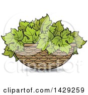 Basket Of Grape Leaves