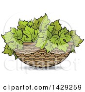 Poster, Art Print Of Basket Of Grape Leaves