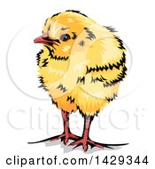 Clipart Of A Cute Yellow Chick Royalty Free Vector Illustration