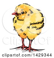 Poster, Art Print Of Cute Yellow Chick