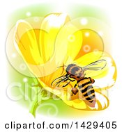 Poster, Art Print Of Bee On A Yellow Flower