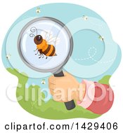 Poster, Art Print Of Hand Observing A Honey Bee Through A Magnifying Glass