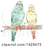 Pair Of Parakeets On A Tree Branch