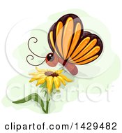 Cute Butterfly Landing On A Sunflower