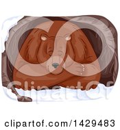 Clipart Of A Grizzly Bear Hibernating In A Cave Royalty Free Vector Illustration