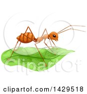 Poster, Art Print Of Fire Ant On A Lush Green Leaf