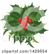 Poster, Art Print Of Bunch Of Christmas Holly With Red Berries
