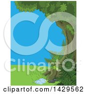 Clipart Of A Border Of A Mature Tree And Ferns Grass And Blue Sky Royalty Free Vector Illustration