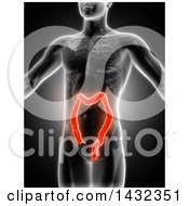 Clipart Of A 3d Anatomical Man With Glowing Visible Colon On Gray Royalty Free Illustration