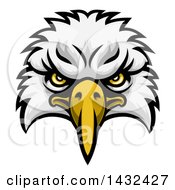 Cartoon Bald Eagle Mascot Face