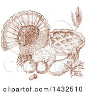 Poster, Art Print Of Sketched Brown Turkey Bird With Produce And A Pie
