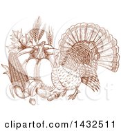 Poster, Art Print Of Sketched Brown Turkey Bird With Produce