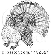 Clipart Of A Sketched Black And White Turkey Bird Royalty Free Vector Illustration
