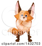 Poster, Art Print Of Cute Adorable Fox Looking Upwards