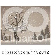 Poster, Art Print Of Sepia Toned Bare Tree And Evergreens In The Snow