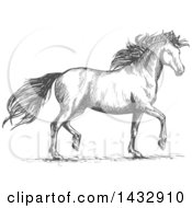 Poster, Art Print Of Sketched Gray Horse