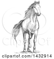 Poster, Art Print Of Sketched Gray Horse