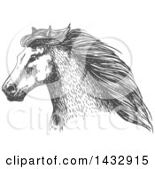 Poster, Art Print Of Sketched Gray Horse Head