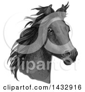 Poster, Art Print Of Sketched And Color Filled Black Horse Head