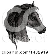 Poster, Art Print Of Sketched And Color Filled Black Horse Head