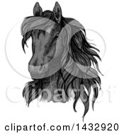 Poster, Art Print Of Sketched And Color Filled Black Horse Head