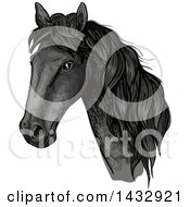 Poster, Art Print Of Sketched And Color Filled Black Horse Head