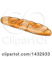 Poster, Art Print Of Sketched Loaf Of Baguette Bread