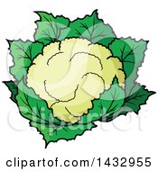 Poster, Art Print Of Cartoon Head Of Cauliflower