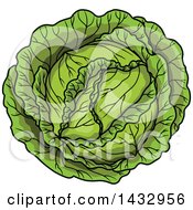 Poster, Art Print Of Cartoon Head Of Cabbage