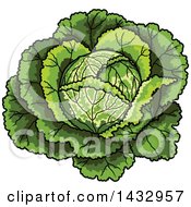 Poster, Art Print Of Cartoon Head Of Cabbage