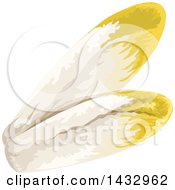 Clipart Of Chicory Endive Royalty Free Vector Illustration