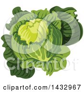Clipart Of A Head Of Cabbage Or Lettuce Royalty Free Vector Illustration